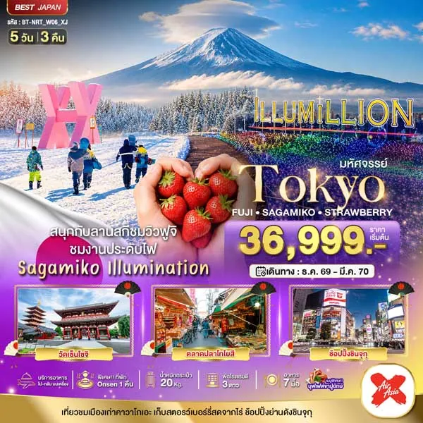 ทัวร์ญี่ปุ่น โตเกียว ฟูจิ ชมสวนประดับไฟ Strawberry Farm 5 วัน 3 คืน