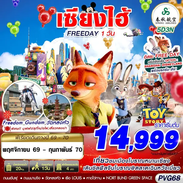 ทัวร์จีน เซี่ยงไฮ้ หนานเซียง วัดหลงหัว ฟรีเดย์ 5 วัน 3 คืน