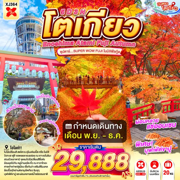 ทัวร์ญี่ปุ่น โตเกียว ฟูจิ อาตามิ คาวาโกเอะ ใบไม้เปลี่ยนสี 5 วัน 3 คืน