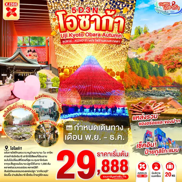 ทัวร์ญี่ปุ่น โอซาก้า เกียวโต นาโกย่า ชมใบไม้เปลี่ยนสี 5 วัน 3 คืน